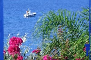 Agia Irini Villas_best deals_Villa_Cyclades Islands_Antiparos_Antiparos Chora