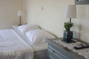 Rex_accommodation_in_Hotel_Peloponesse_Ilia_Zacharo