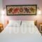 Lilo's Apartments_best deals_Room_Dodekanessos Islands_Astipalea_Livadia