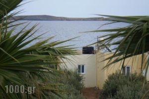 Kouremenos Beach Apartments_holidays_in_Apartment_Crete_Lasithi_Sitia