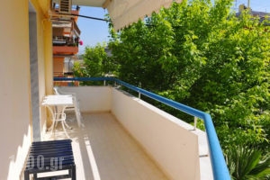 Hotel Eleni_travel_packages_in_Macedonia_Halkidiki_Paralia Dionysou