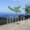 Evi's Studios_holidays_in_Hotel_Ionian Islands_Lefkada_Lefkada Rest Areas