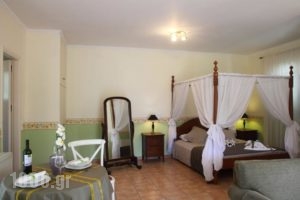 Anthias Garden_lowest prices_in_Hotel_Ionian Islands_Lefkada_Lefkada Chora