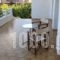Stavros Apartments_best deals_Apartment_Crete_Lasithi_Aghios Nikolaos