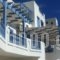 Vythos_holidays_in_Hotel_Dodekanessos Islands_Astipalea_Livadia