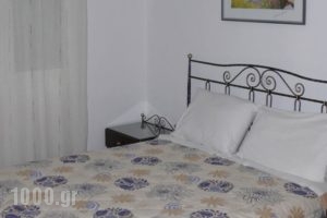 Hotel Andreas_accommodation_in_Hotel_Piraeus Islands - Trizonia_Agistri_Agistri Rest Areas