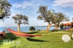 Anna Karra Studios & Apartments in Mikri Vigla, Naxos, Cyclades Islands