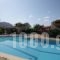 Artemis Village Apartments & Studios_best prices_in_Apartment_Crete_Chania_Akrotiri