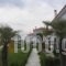 Carpe Diem_holidays_in_Room_Aegean Islands_Lesvos_Lesvos Rest Areas
