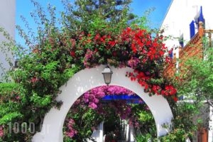 Helliniko_accommodation_in_Hotel_Cyclades Islands_Paros_Paros Chora