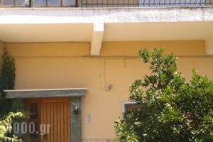 Gkoloi Studios & Apartments_best prices_in_Apartment_Macedonia_Halkidiki_Poligyros