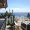 Gkoloi Studios & Apartments_accommodation_in_Apartment_Macedonia_Halkidiki_Poligyros