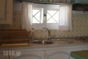 Villa Georgina B&B_best prices_in_Villa_Peloponesse_Ilia_Pyrgos