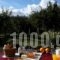 Plethon Residence_best deals_Hotel_Thessaly_Magnesia_Pilio Area