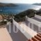Studios Rena_accommodation_in_Hotel_Aegean Islands_Fourni_Fourni Rest Areas