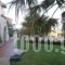 Dia Apartments_best deals_Apartment_Crete_Heraklion_Chersonisos