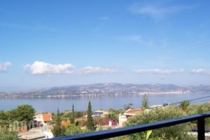 Raymondos Apartments_best prices_in_Apartment_Ionian Islands_Kefalonia_Argostoli