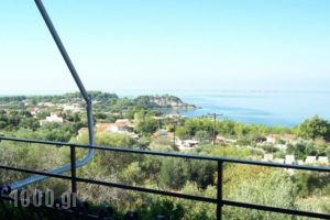 Raymondos Apartments_lowest prices_in_Apartment_Ionian Islands_Kefalonia_Argostoli