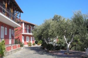 Villa Levante_holidays_in_Villa_Ionian Islands_Zakinthos_Zakinthos Rest Areas
