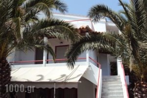 Irini Studios_accommodation_in_Hotel_Aegean Islands_Lesvos_Plomari