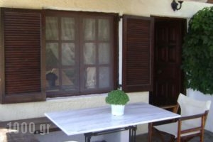 Villa Olga_lowest prices_in_Villa_Macedonia_Halkidiki_Kassandreia