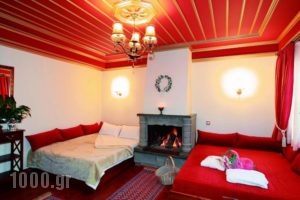 Guesthouse Driofillo_lowest prices_in_Hotel_Epirus_Ioannina_Zitsa