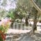 Thendraki Apartments_accommodation_in_Apartment_Aegean Islands_Samos_Marathokambos