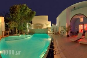 Museum Spa Wellness Hotel_accommodation_in_Hotel_Cyclades Islands_Sandorini_Sandorini Rest Areas