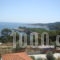 Pension Dimitra_best prices_in_Hotel_Sporades Islands_Skopelos_Skopelos Chora