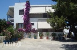 Pension Dimitra in Naxos Chora, Naxos, Cyclades Islands