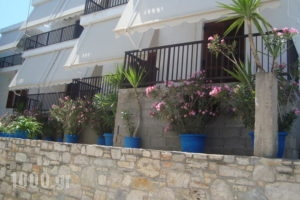 Pension Dimitra_holidays_in_Hotel_Sporades Islands_Skopelos_Skopelos Chora