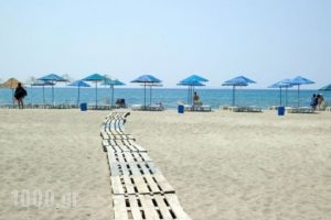 Evgatis Hotel_lowest prices_in_Hotel_Aegean Islands_Limnos_Myrina