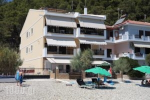 Avlakia Beach Studios & Apartments_accommodation_in_Apartment_Aegean Islands_Samos_Samos Chora