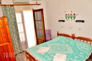 Studios Olga_holidays_in_Hotel_Aegean Islands_Thasos_Thasos Rest Areas