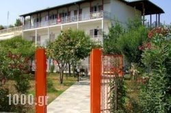 Apartments Ziogas in Zakinthos Rest Areas, Zakinthos, Ionian Islands