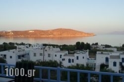 Medusa Apartments in Livadi, Serifos, Cyclades Islands