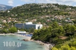 Mediterranee in Argostoli, Kefalonia, Ionian Islands