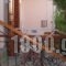 Eleni Studios & Apartments_best deals_Apartment_Aegean Islands_Lesvos_Petra