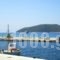 Maria Studios_holidays_in_Hotel_Sporades Islands_Skopelos_Neo Klima - Elios