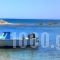 Sunset Studios_best prices_in_Hotel_Cyclades Islands_Naxos_Agia Anna