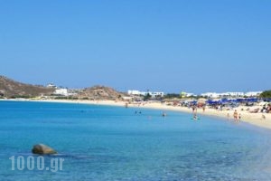 Sunset Studios_travel_packages_in_Cyclades Islands_Naxos_Agia Anna