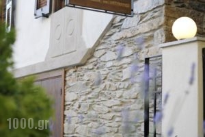 Hotel Marelia_lowest prices_in_Hotel_Macedonia_Halkidiki_Poligyros