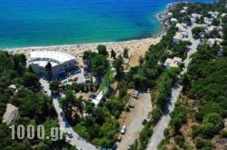 Tosca Beach Bungalows in Plakias, Rethymnon, Crete