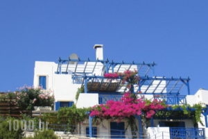Nymphes Luxury Apartments_best prices_in_Apartment_Crete_Heraklion_Ammoudara