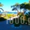 Studios Stefani_best deals_Hotel_Aegean Islands_Lesvos_Petra