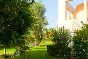 Alfa Hotel Apartments_best prices_in_Apartment_Crete_Chania_Kolympari