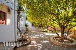 Lemon Tree Pefkos Apartments in Pefki, Rhodes, Dodekanessos Islands