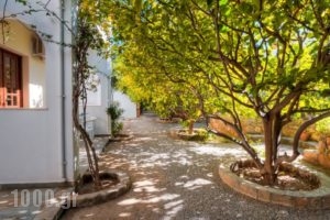 Lemon Tree Pefkos Apartments_accommodation_in_Apartment_Dodekanessos Islands_Rhodes_Pefki