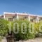 Lemon Tree Pefkos Apartments_travel_packages_in_Dodekanessos Islands_Rhodes_Pefki