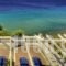 Aneroussa Beach Hotel_travel_packages_in_Cyclades Islands_Andros_Andros City